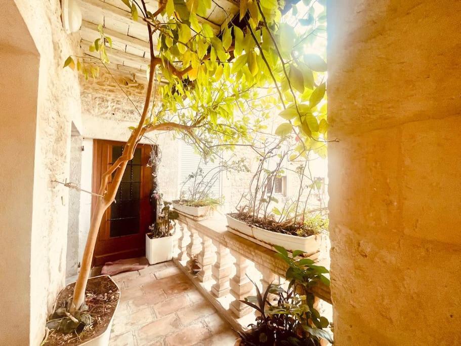 Ferienwohnung Evasion Urbaine**** Nîmes Exterior foto